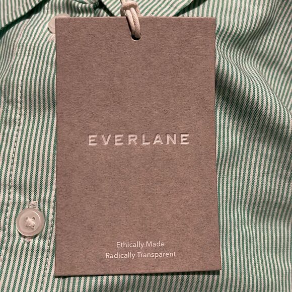 Everlane NWT Long Sleeve Button Down Oversized 100% Cotton Size 2 Striped Mint - Picture 5 of 8